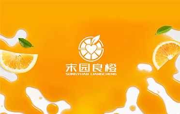 某良橙——滁州LOGO设计